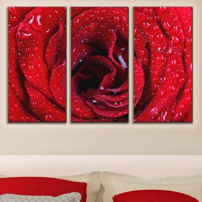 0032 Wall art decoration (set of 3 pieces)  Red rose