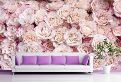 T9007 Wallpaper Roses