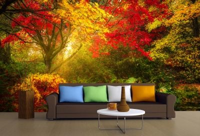 T9008 Wallpaper Colorful forest landscape