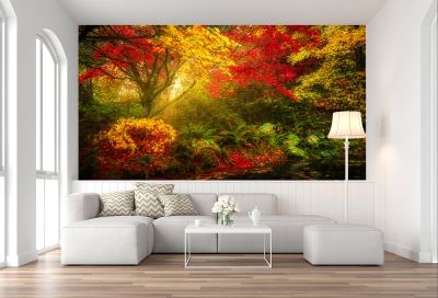 T9008 Wallpaper Colorful forest landscape