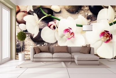 T9054 Wallpaper White orchids