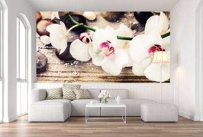T9054 Wallpaper White orchids