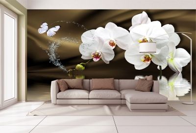 T0750 Wallpaper White orchids on brown background