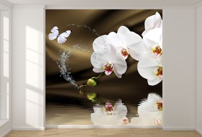 T0750 Wallpaper White orchids on brown background