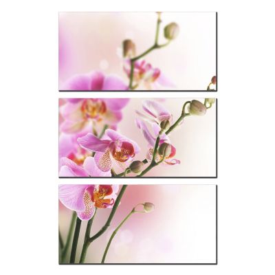 0768 Картина пано от 3 части Абстрактни цветя за всекидневна