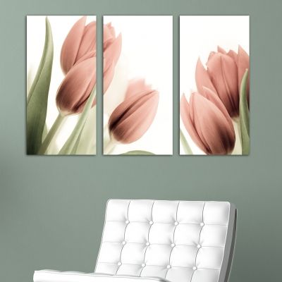 0141 Wall art decoration (set of 3 pieces) Soft pink tulips