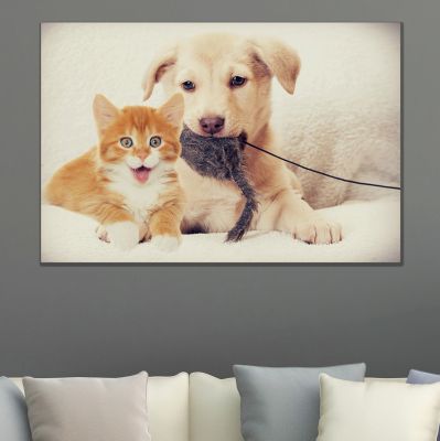 Декорация за стенба с куче и котка