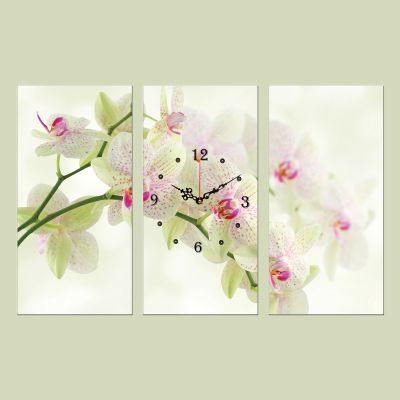 C0093 _3 Clock with print 3 pieces White orchids
