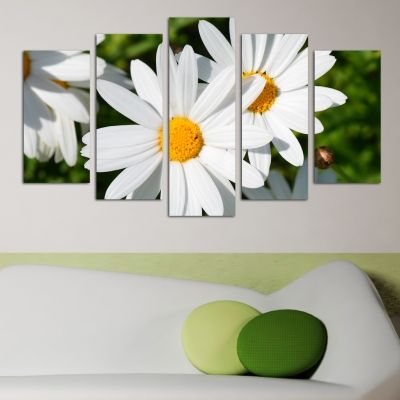 0147  Wall art decoration (set of 5 pieces) Daisies