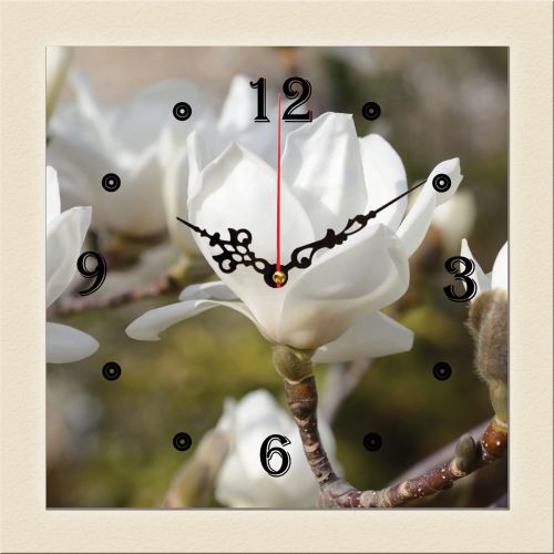 C0327_1 Clock with print White magnolia