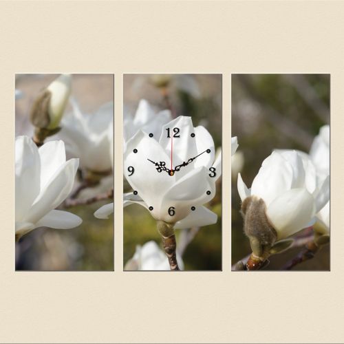 C0327_3 Clock with print 3 pieces White magnolia