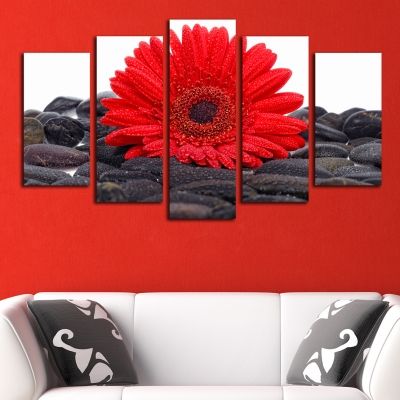 0160 Wall art decoration (set of 5 pieces) Red gerber