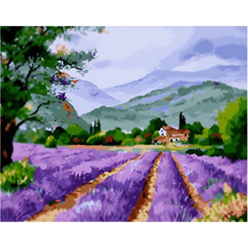 W6649 Paint by numbers set Lavender field
