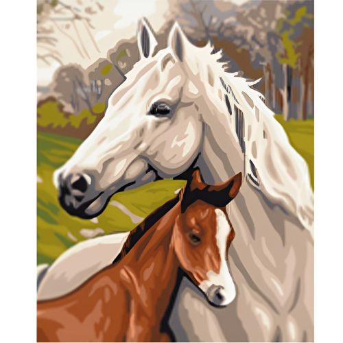 W6340 Paint by numbers set Horses