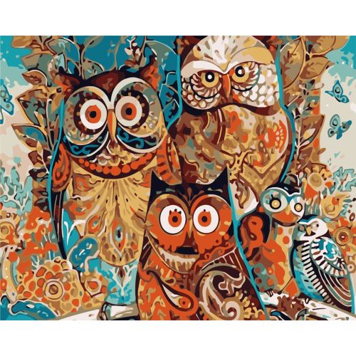 W1754 Paint by numbers set Owls