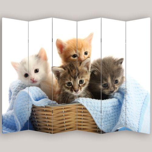 P0425 Decorative Screen Room divider Cute kittens (3,4,5 or 6 panels)