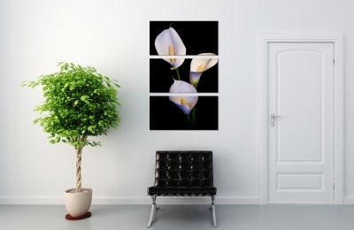Home decoration black and white Calla liies