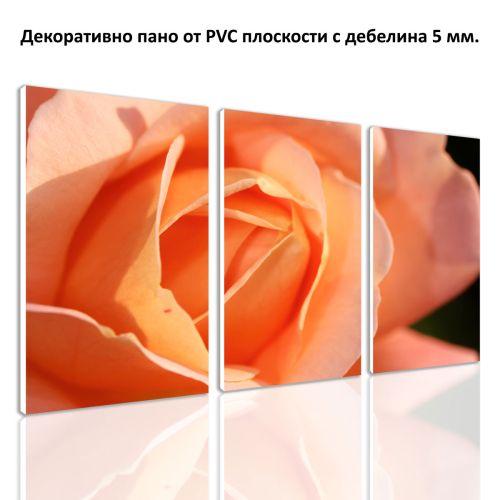 Картина-пано от 3 части, Материал: PVC, общ размер: 64х40 см. SALE0072