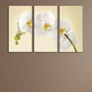 0347 Картина пано от 3 части Нежна бяла орхидея