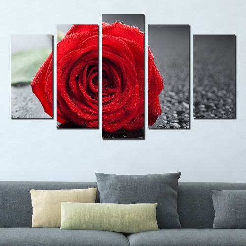 0356 Wall art decoration (set of 5 pieces) Red rose