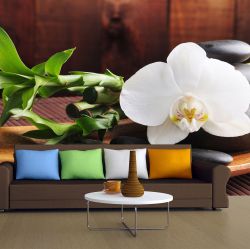 T0117 Wallpaper SPA - white orchid