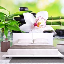T0162 Wallpaper White orchid with reflection