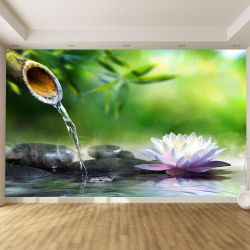 T0519 Фототапет Дзен композиция в зелено