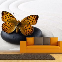 T9069 Wallpaper Zen - Butterfly
