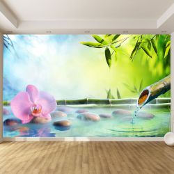 T0863 Фототапет Дзен композиция