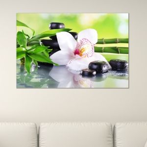 0162_1 Wall art decoration White orchid with reflection