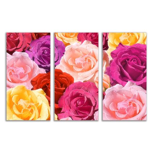 0050 Wall art decoration (set of 3 pieces Roses