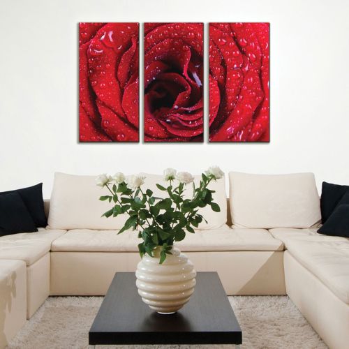 0032 Wall art decoration (set of 3 pieces)  Red rose