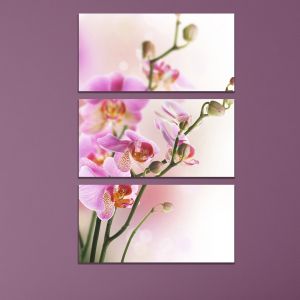 0794 Картина пано от 3 части Орхидеи