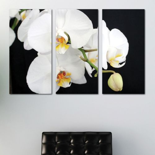 0138 Wall art decoration (set of 3 pieces) White orchid on a black background