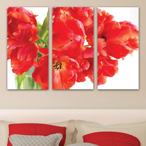 0142 Wall art decoration (set of 3 pieces) Beautiful poppies