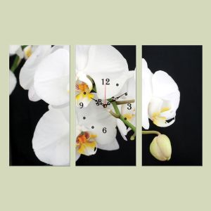 C0138_3 Стенен часовник от 3 части с принт Бяла орхидея на черен фон