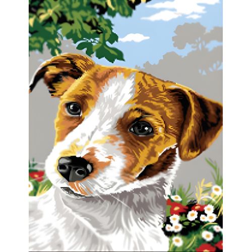 W5021 Paint by numbers set Dog