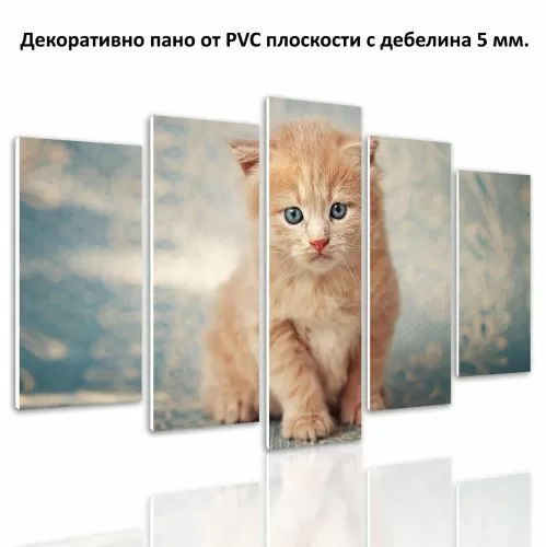 Пано за стена от 5 части