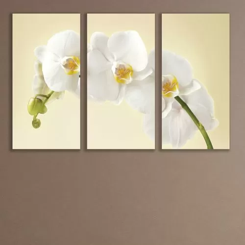 0347 Картина пано от 3 части Нежна бяла орхидея за спалня