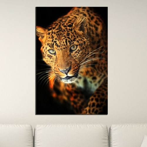 Картина за стена Леопард на черен фон