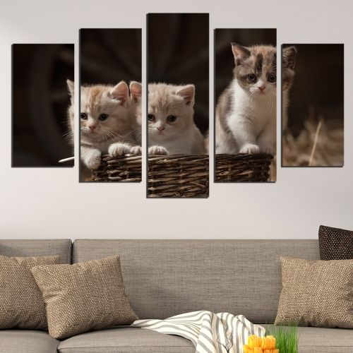 Декорация за стена от 5 части с котенца в кафяво