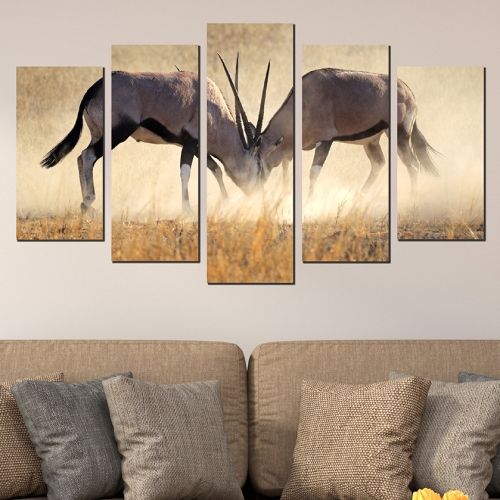 Декорация за стена от 5 части сблъсък антилопи