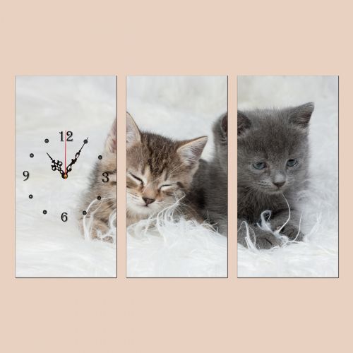 C0025 _3 Clock with print 3 pieces Cute kitties