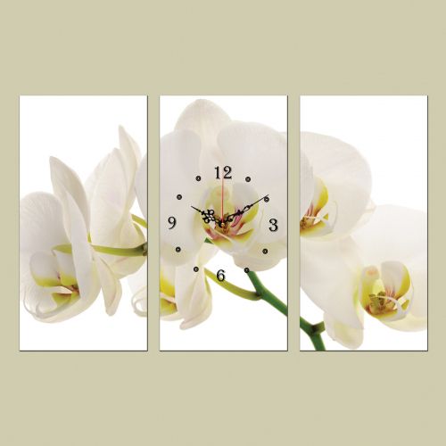 C0087 _3 Clock with print 3 pieces White orchid