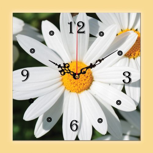 C0147_1 Clock with print Daisies