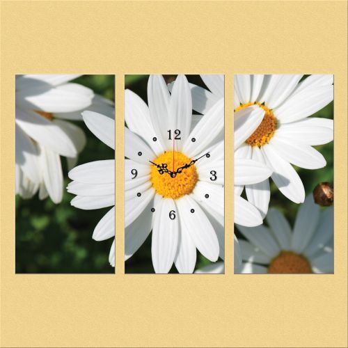 C0147_3 Clock with print 3 pieces Daisies
