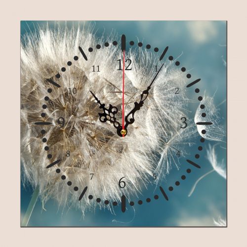 C0649_1 Clock with print Dandelion