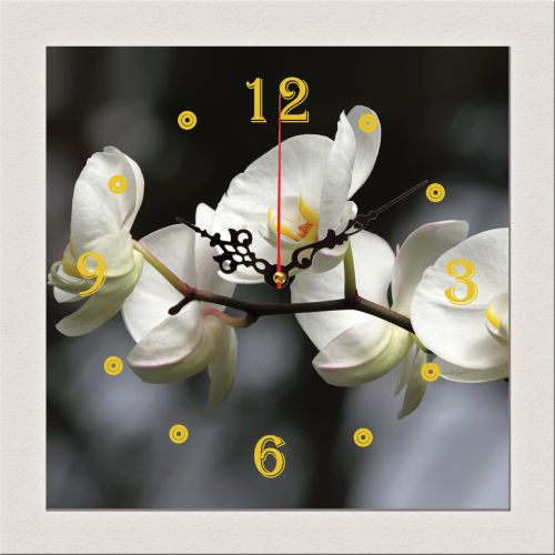Декорация за дома C0324_1 Стенен часовник с принт Бели орхидеи на сив фон