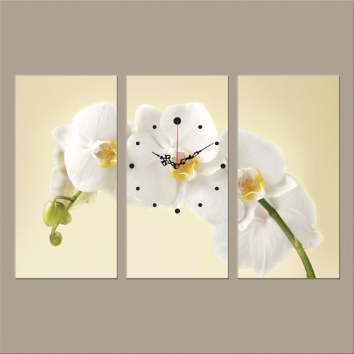 C0347_3 Clock with print 3 pieces Gentle white orchid