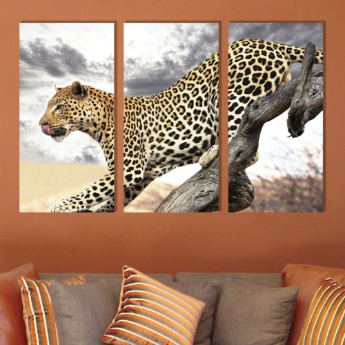 0245 Wall art decoration (set of 3 pieces) Leopard